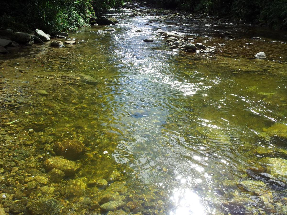 Pousada Rancho Texas Ubatuba Kültér fotó